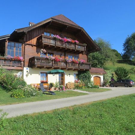 Ferienwohnung Brigitte Perner Nussdorf am Attersee Kültér fotó