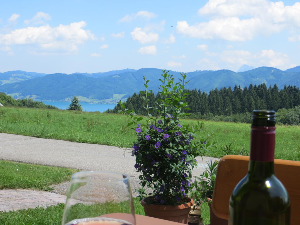 Ferienwohnung Brigitte Perner Nussdorf am Attersee Kültér fotó